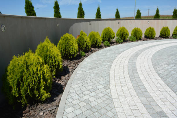 Best Residential Paver Driveway  in Brinkley, AR